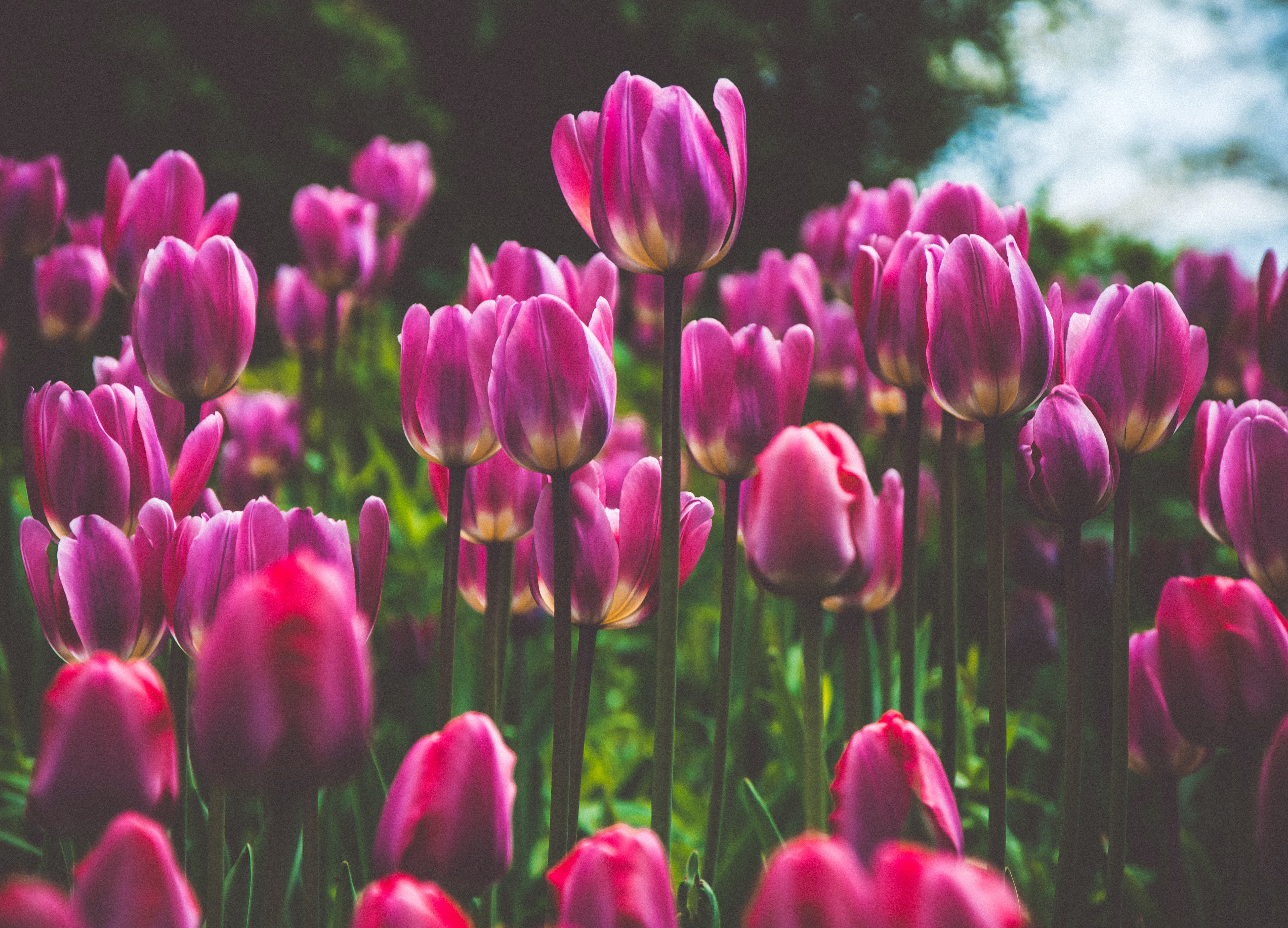 毎日のメイクより、気軽にプチ整形